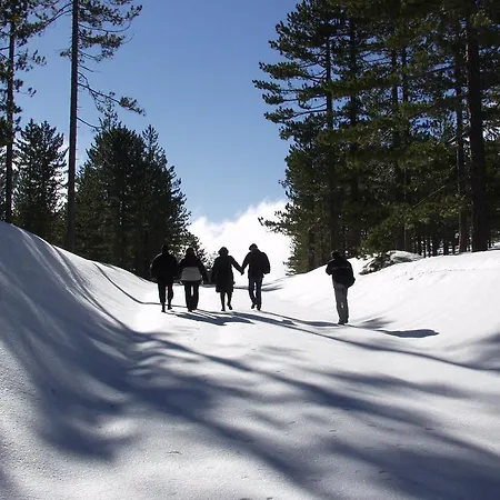 Flora 3* Koycegiz (Mugla)