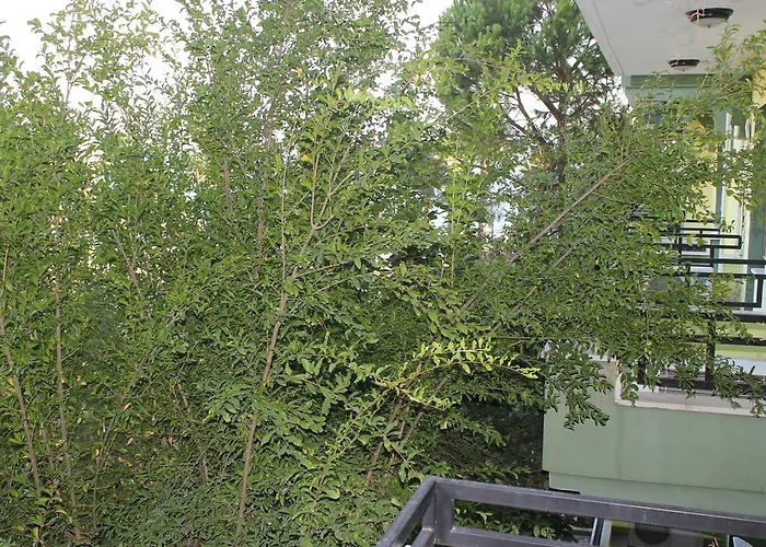 Flora Ξενοδοχείο Koycegiz (Mugla)